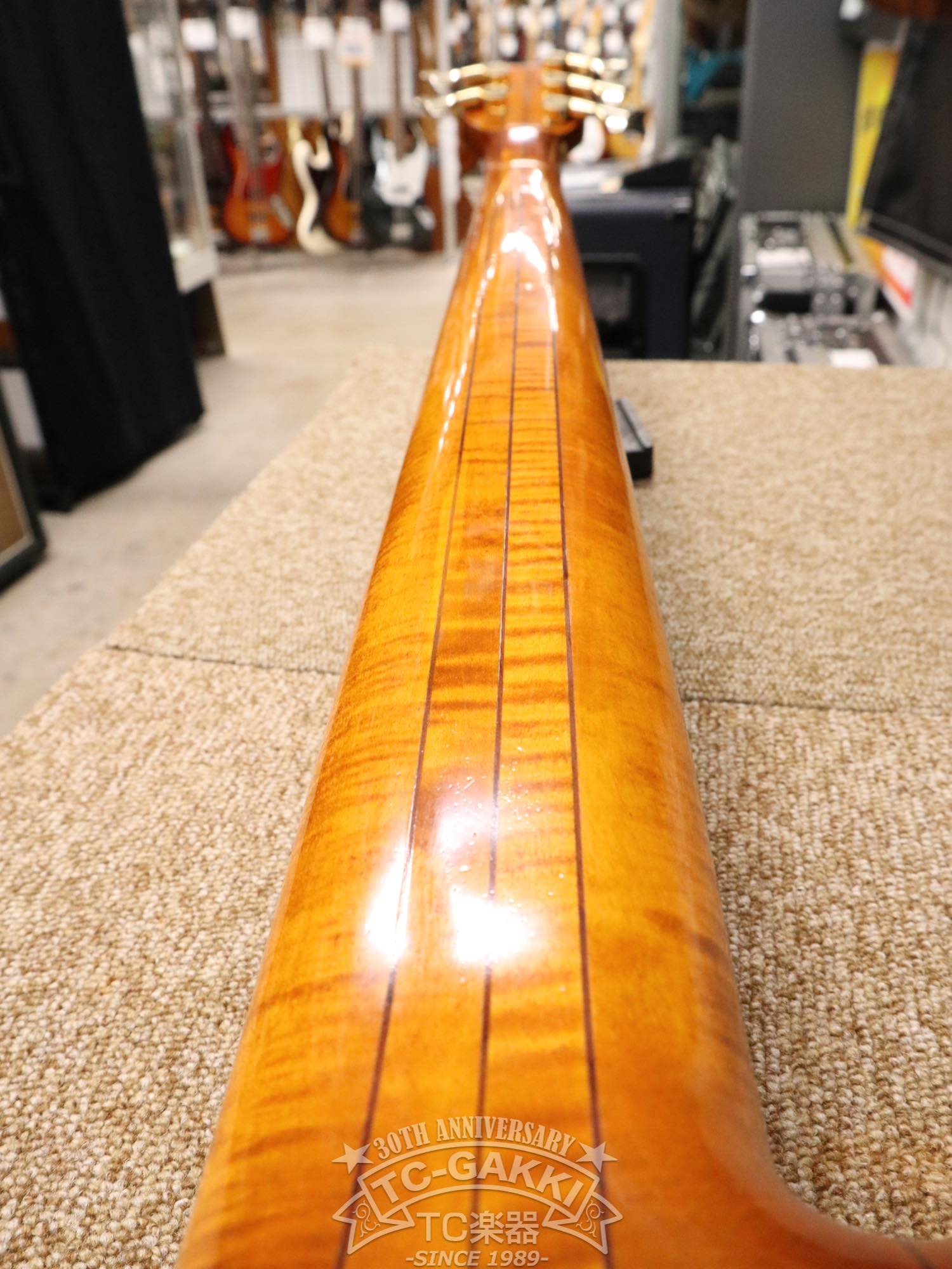 Warwick 2003 Streamer Stage 1 5st - TC楽器 - TCGAKKI