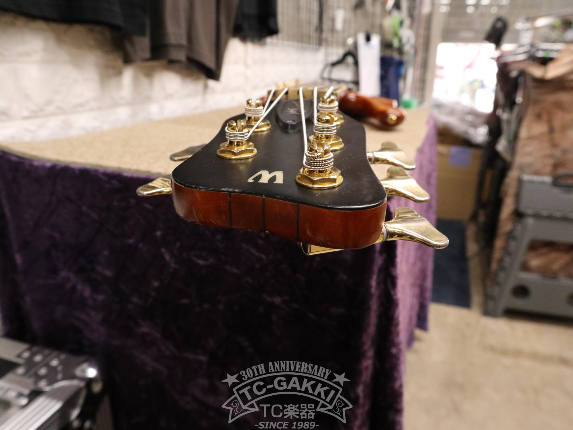 Warwick 2003 Streamer Stage 1 5st - TC楽器 - TCGAKKI