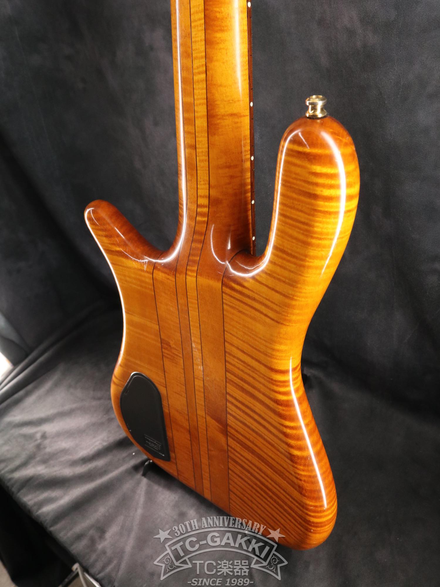 Warwick 2003 Streamer Stage 1 5st - TC楽器 - TCGAKKI