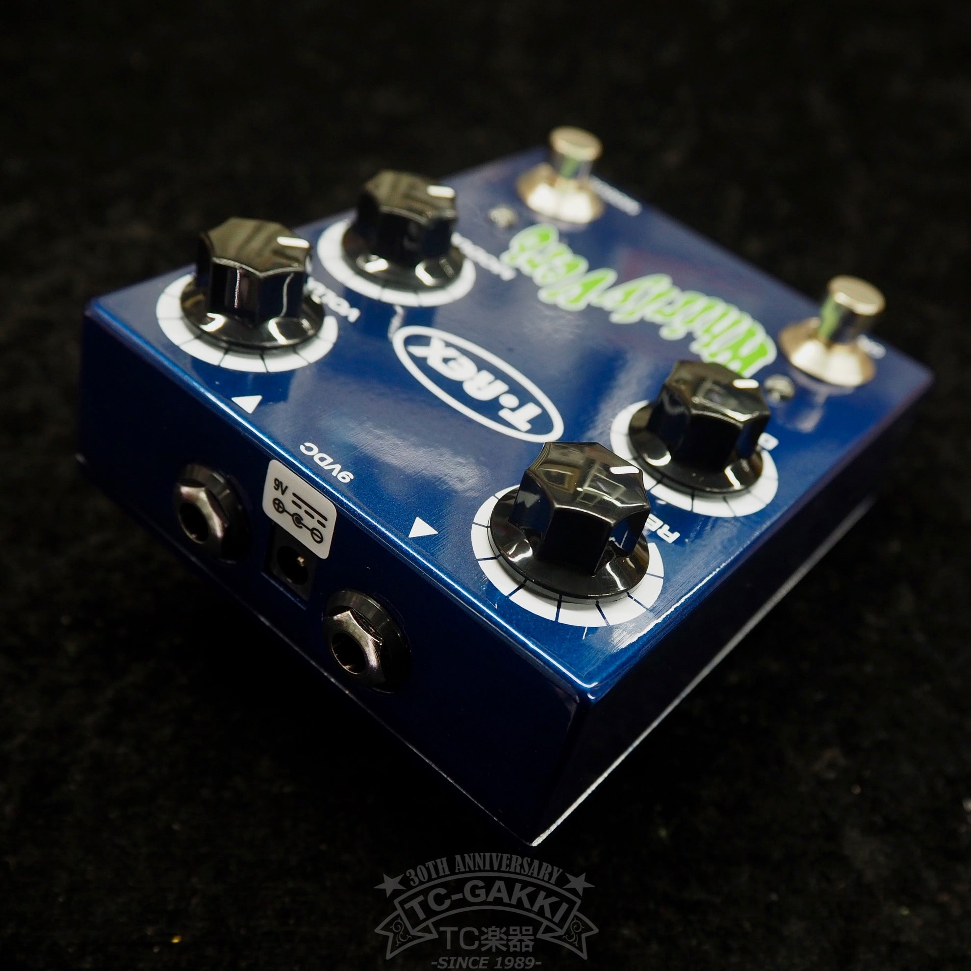 T-REX Whirly Verb Reverb & Modulation