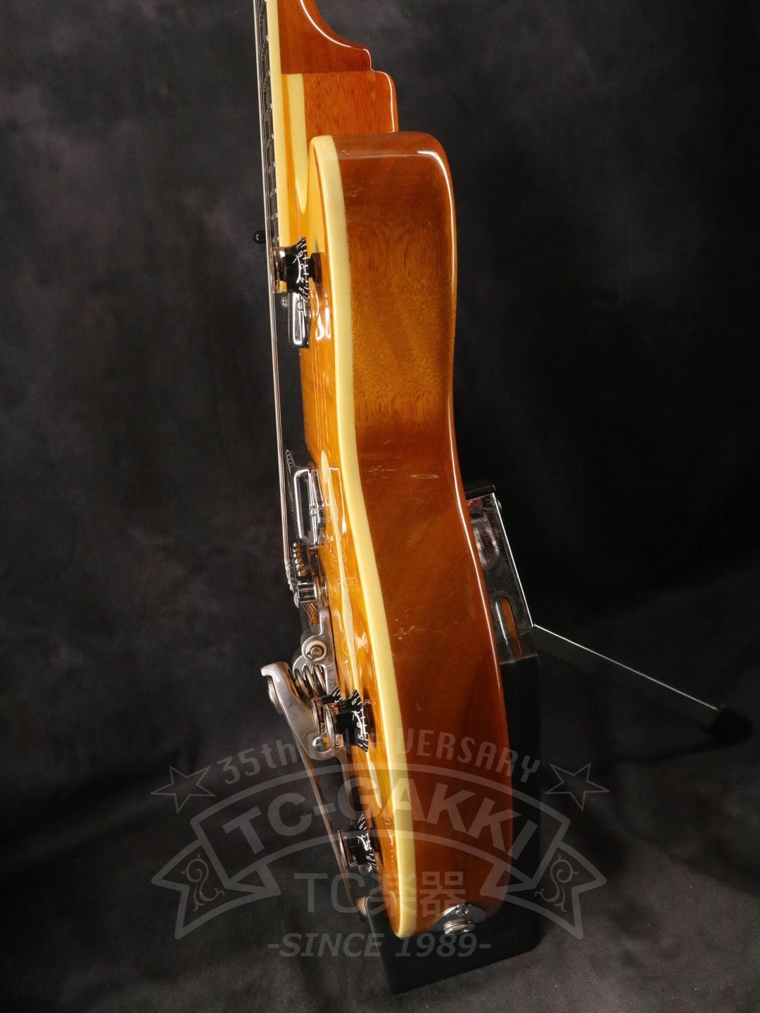 Wildkat - TC楽器 - TCGAKKI