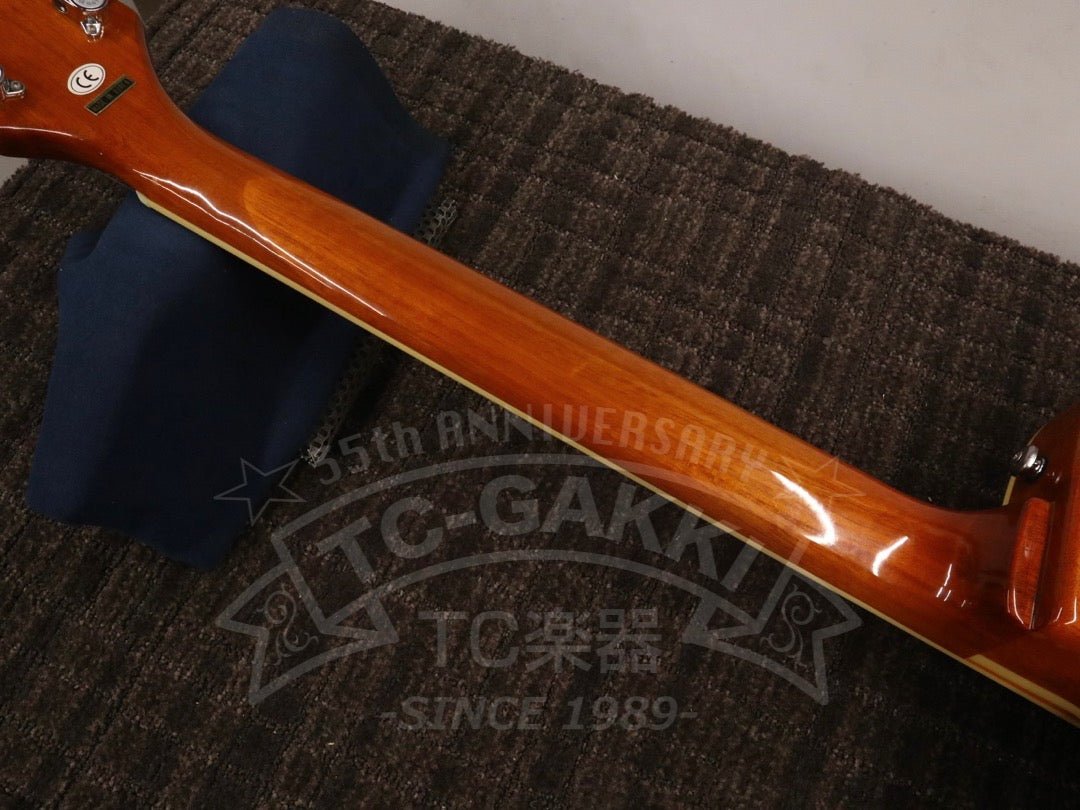 Wildkat - TC楽器 - TCGAKKI