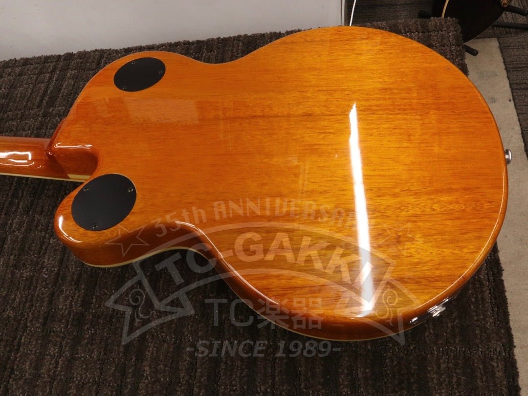 Wildkat - TC楽器 - TCGAKKI