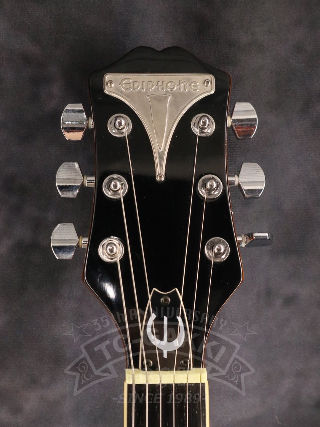 Wildkat - TC楽器 - TCGAKKI