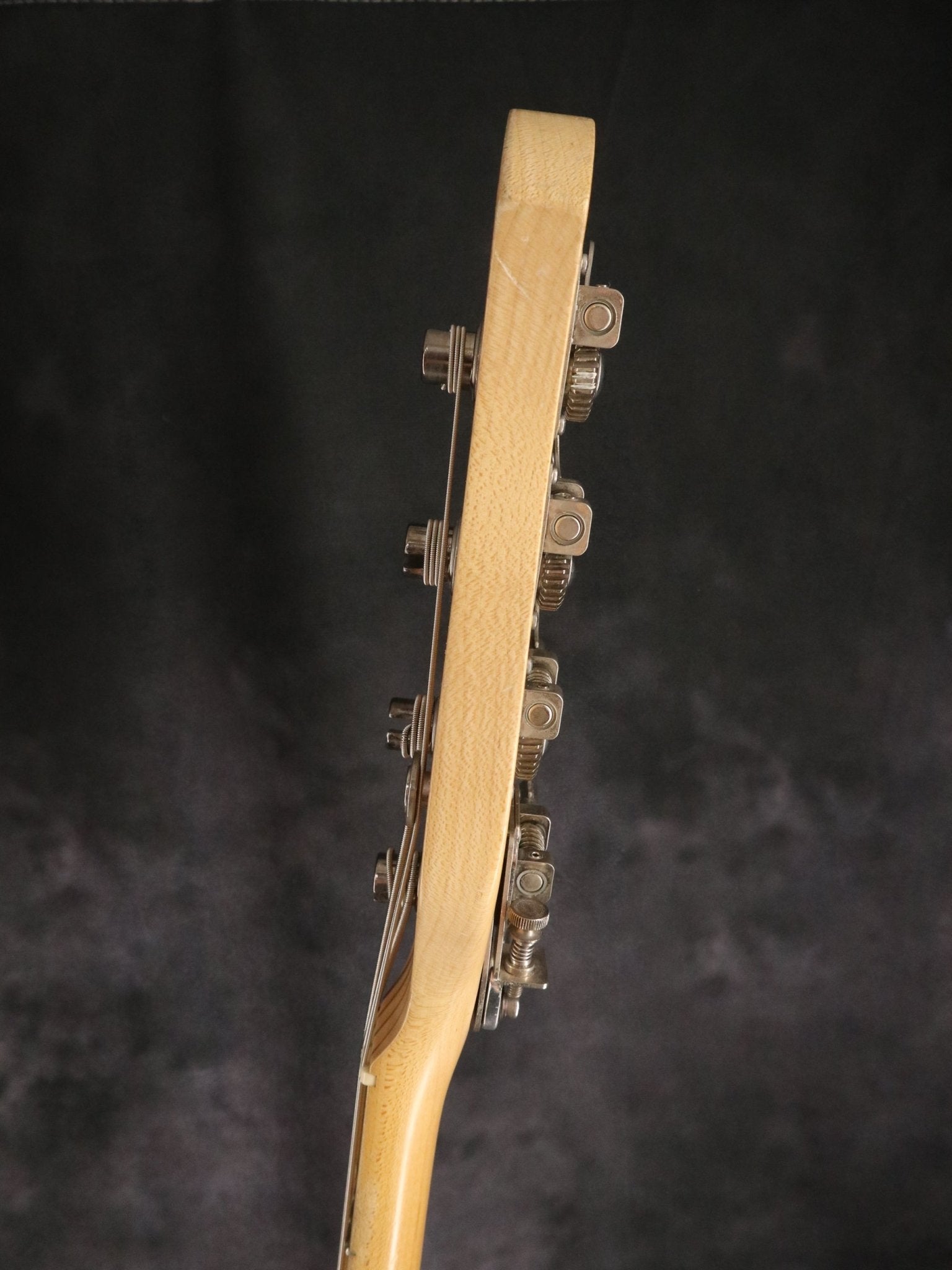 Will Lee Model 4st - TC楽器 - TCGAKKI