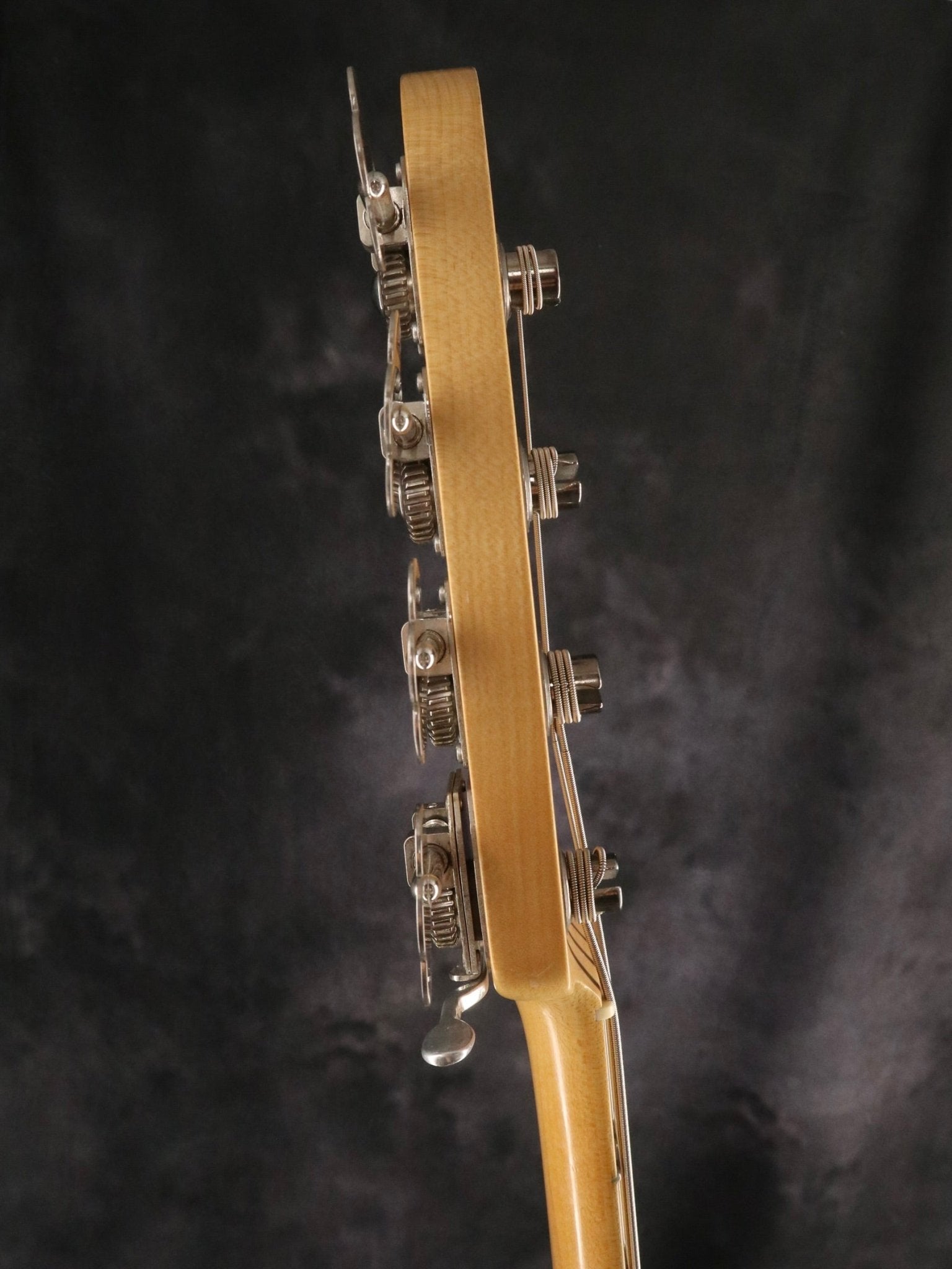 Will Lee Model 4st - TC楽器 - TCGAKKI