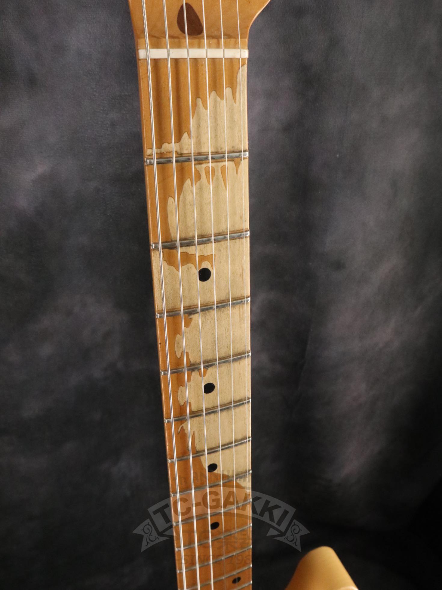 WORKHORSE Heavy +++ - TC楽器 - TCGAKKI