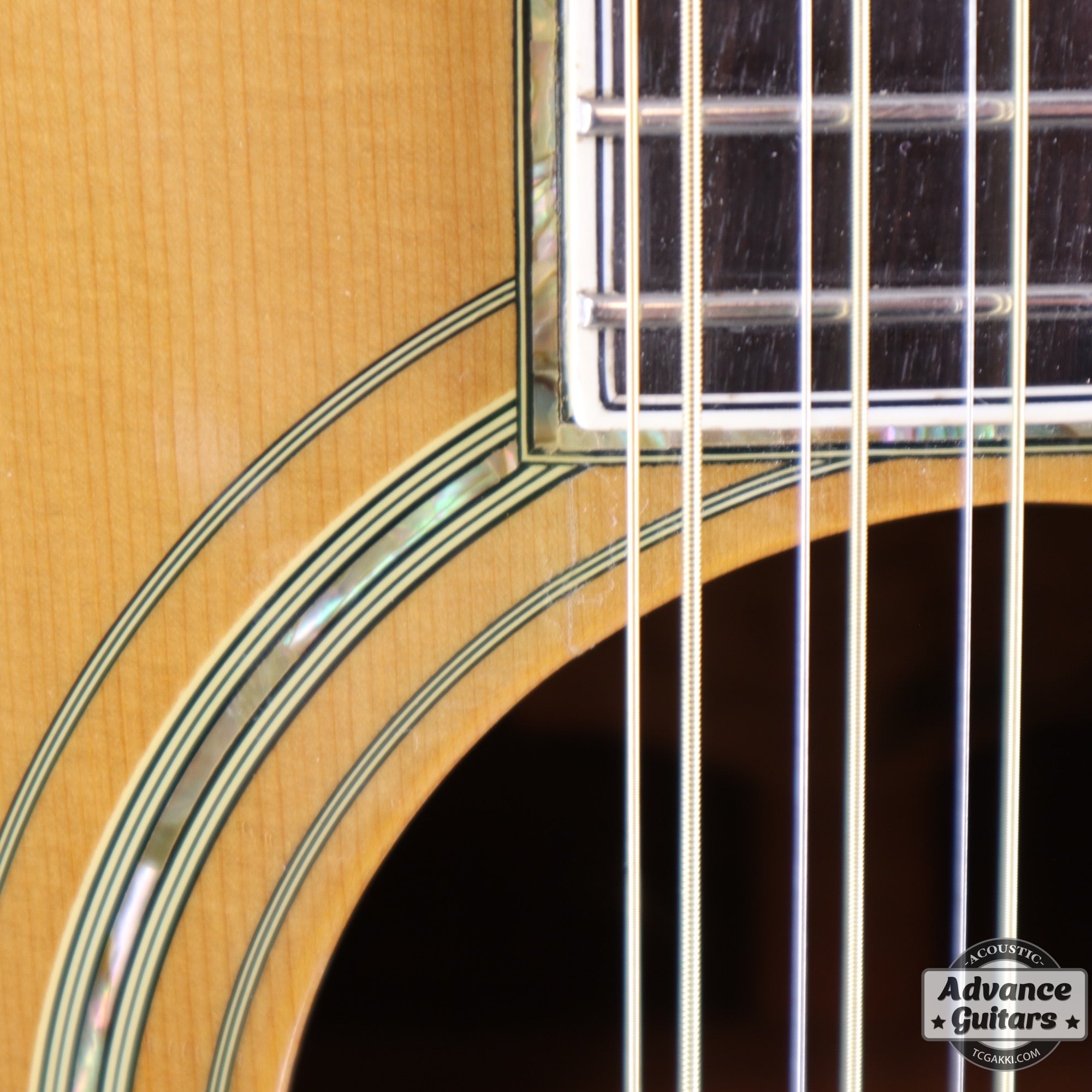 YAMAHA 1980年製 L12-50 Custom - TC楽器 - TCGAKKI