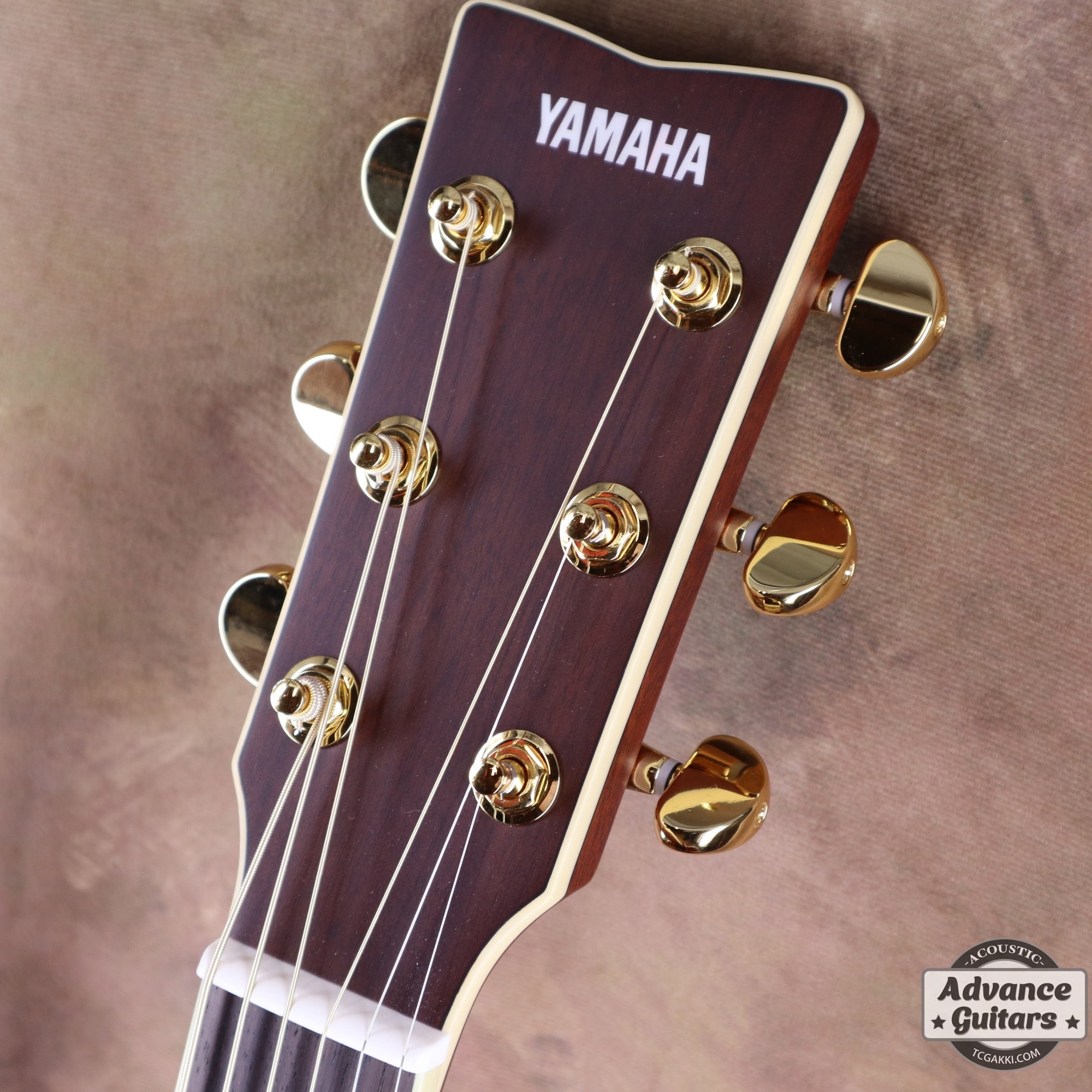 【新品】YAMAHA LL6 ARE - TC楽器 - TCGAKKI