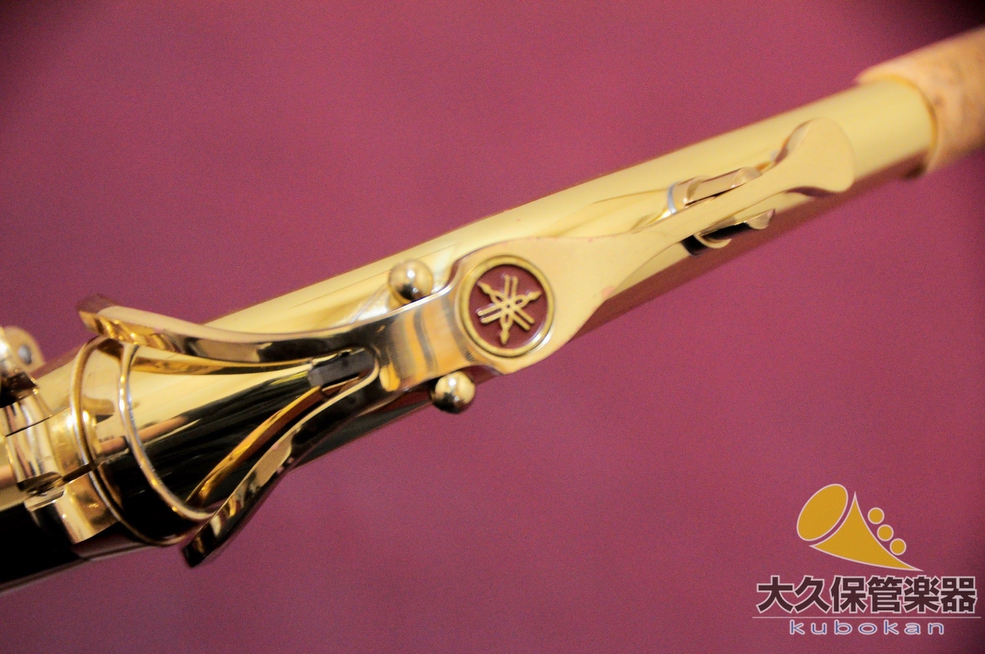 Yamaha YAS-61 Alto Saxophone - TCGAKKI - TCGAKKI