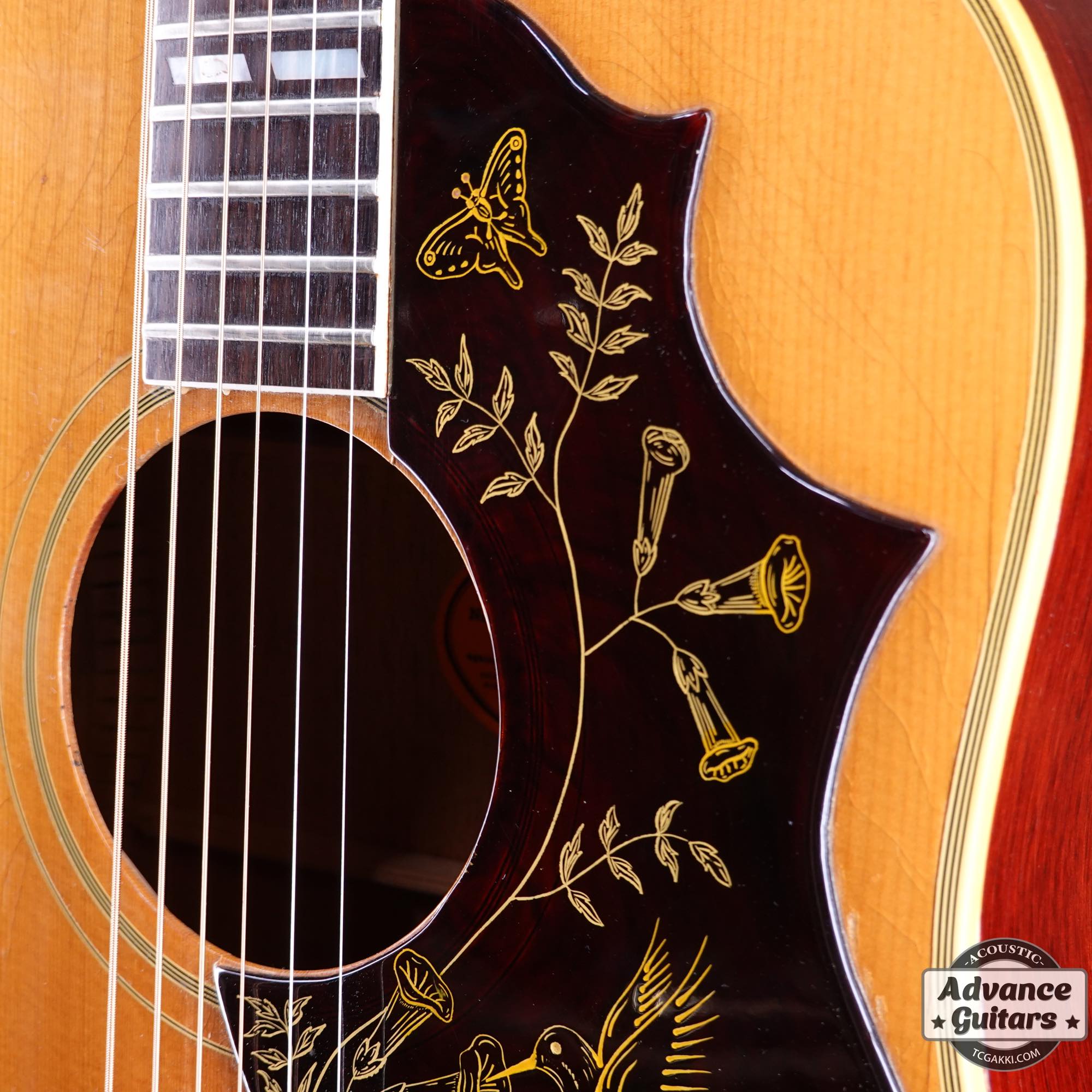 自分好みのギターに カスタマイズ humming birdタイプ ピック ガード ブラック カラー セルロイド 素材 楽しい 音楽ライフ のサポートに
