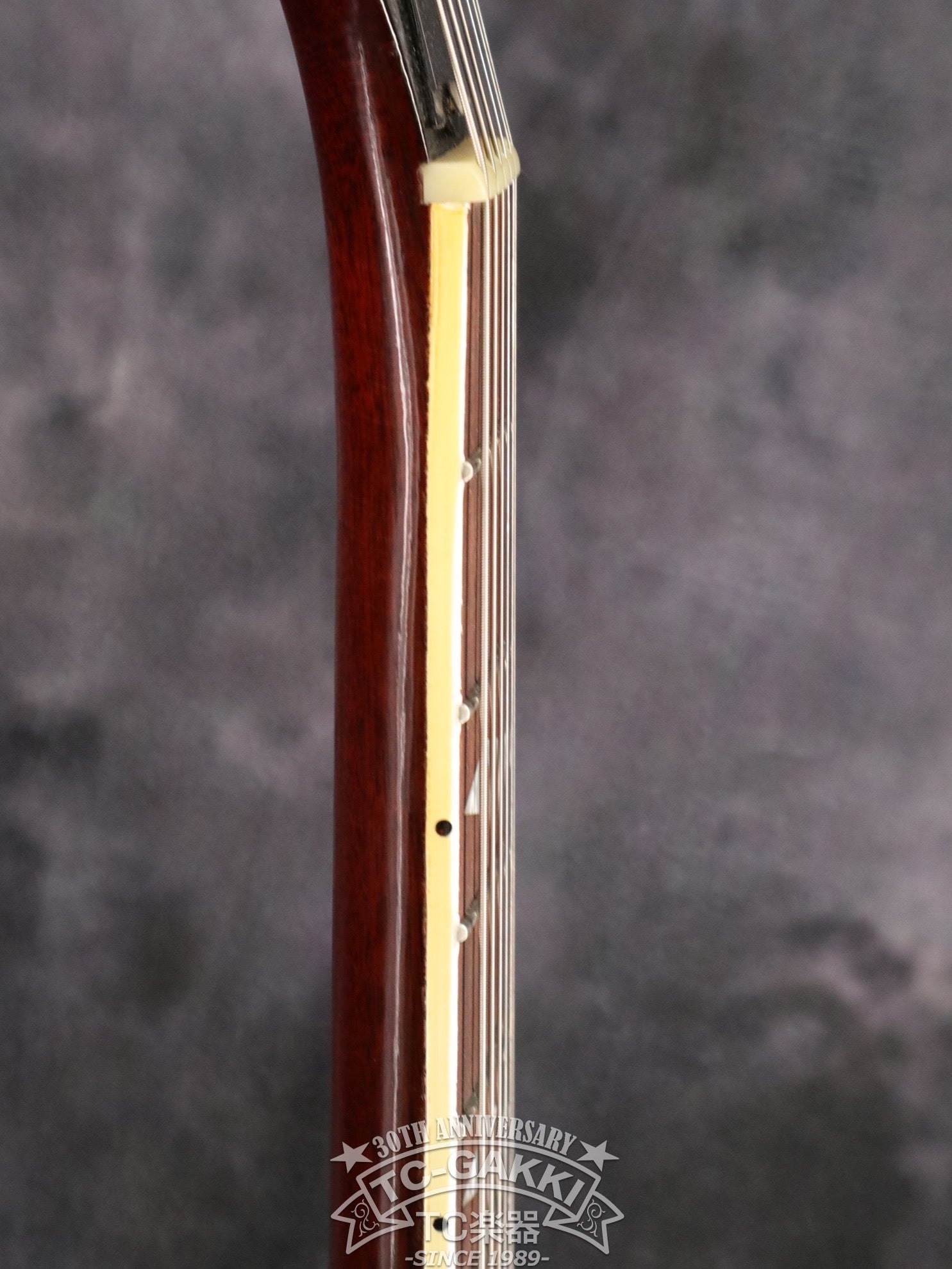 1967 Trini Lopez Standard - TC楽器 - TCGAKKI