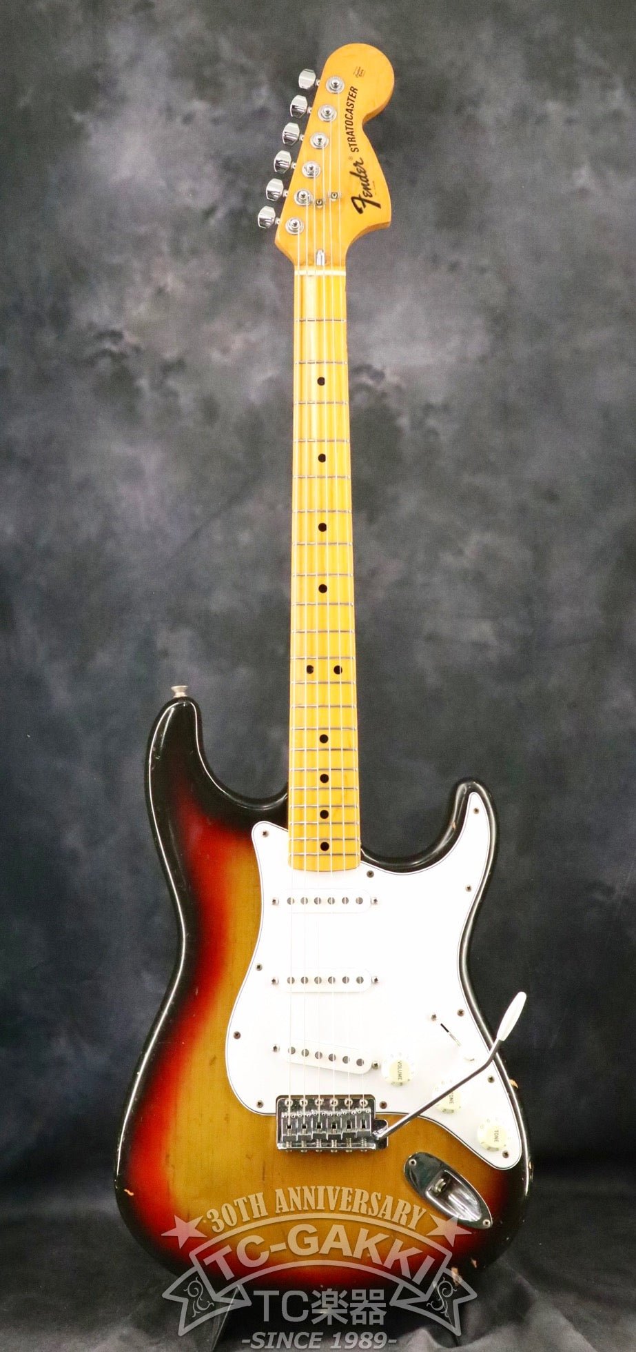 1974 Stratocaster Mod. Maple / Alder - TC楽器 - TCGAKKI