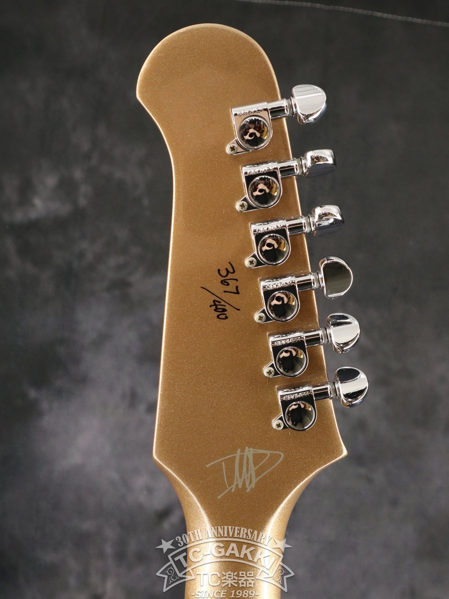 2015 DG-335 Dave Grohl Signature - TC楽器 - TCGAKKI