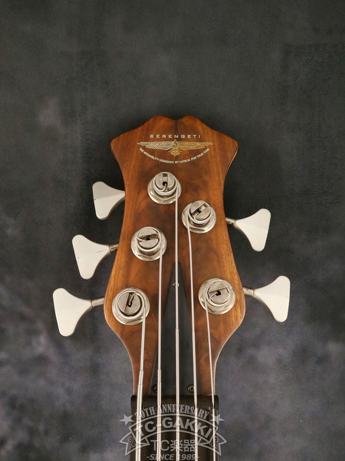5 String Bass - TC楽器 - TCGAKKI