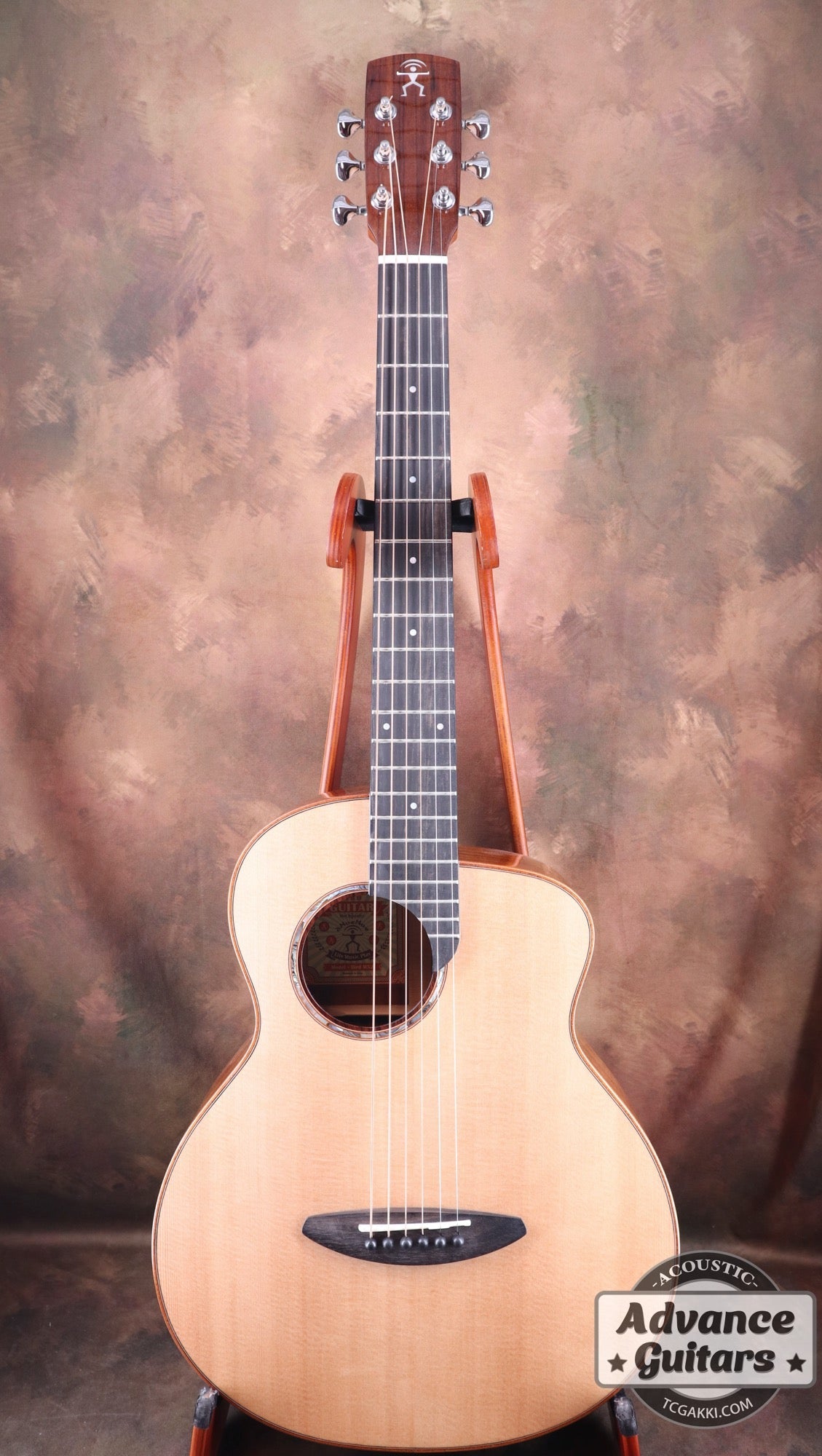 aNueNue】アコースティックギター aNN-M52aNueNue - ギター
