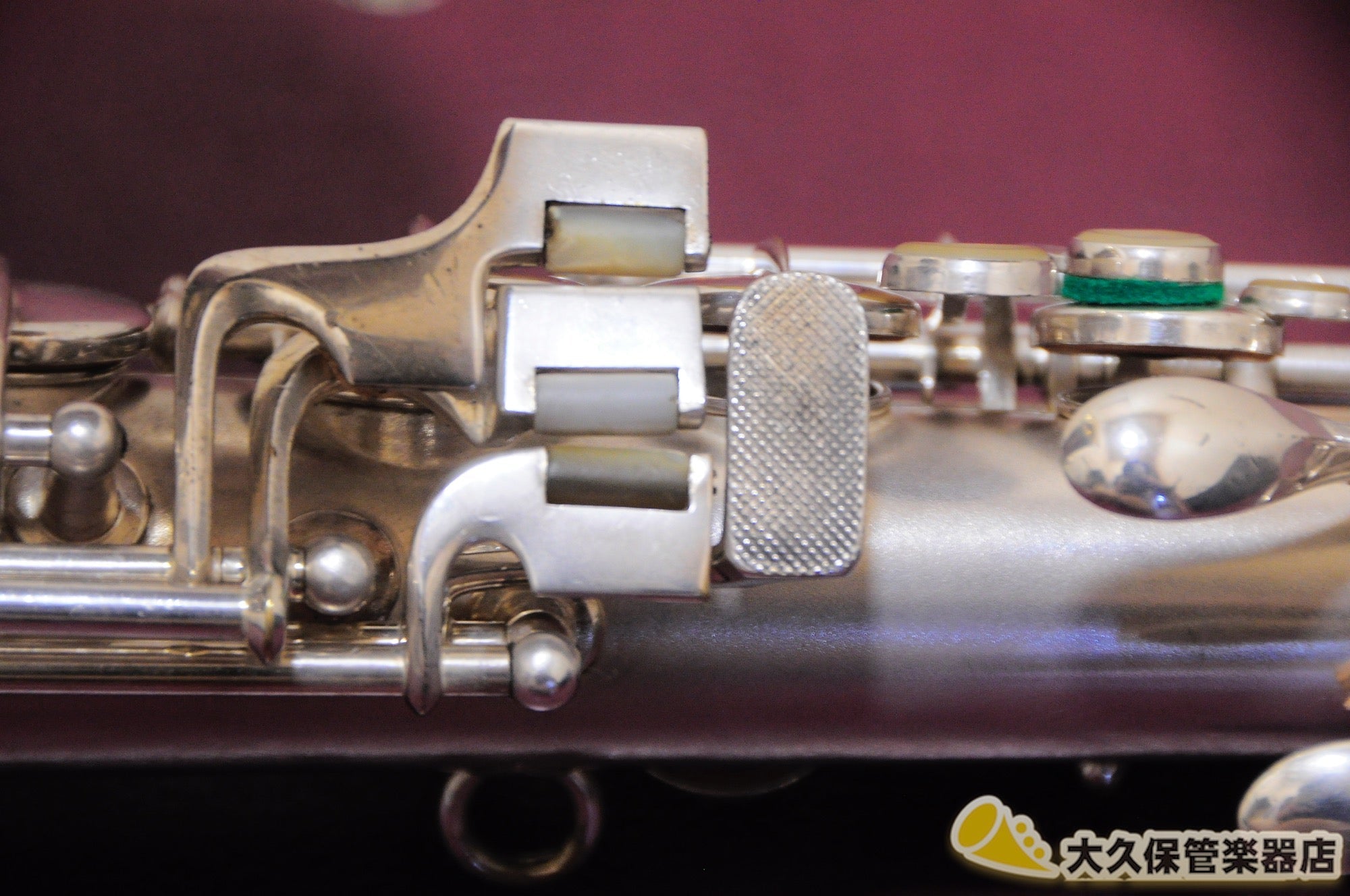 C.G. Cohn New Wonder Series II Alto Saxophone