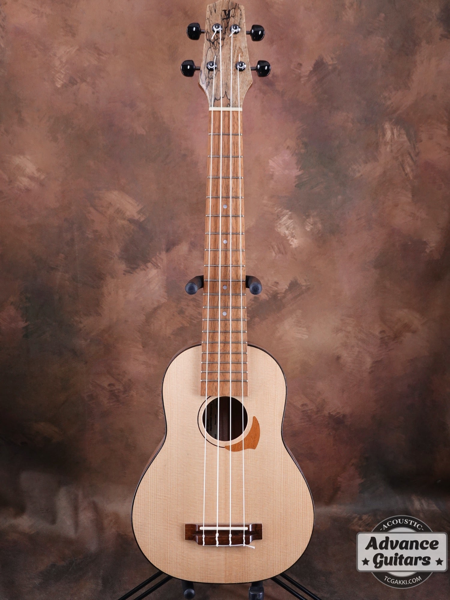 Concert Long Neck White Spruce / Aqua Timber Mahogany - TC楽器 - TCGAKKI