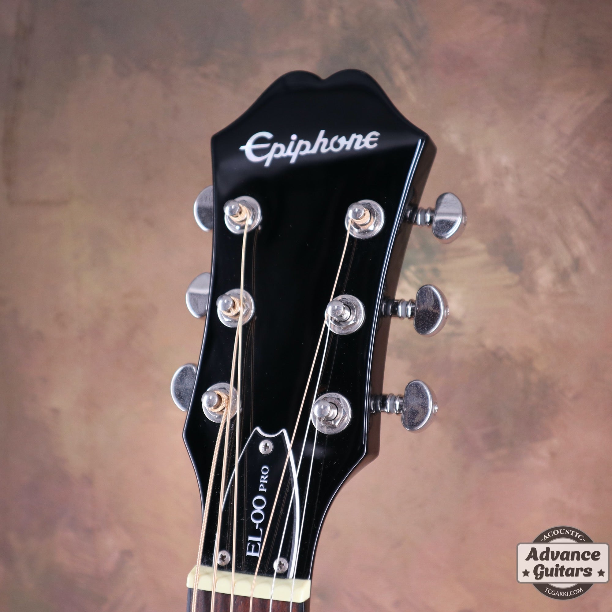 Epiphone アコースティックギター EL-00 PRO VS エレアコ ...