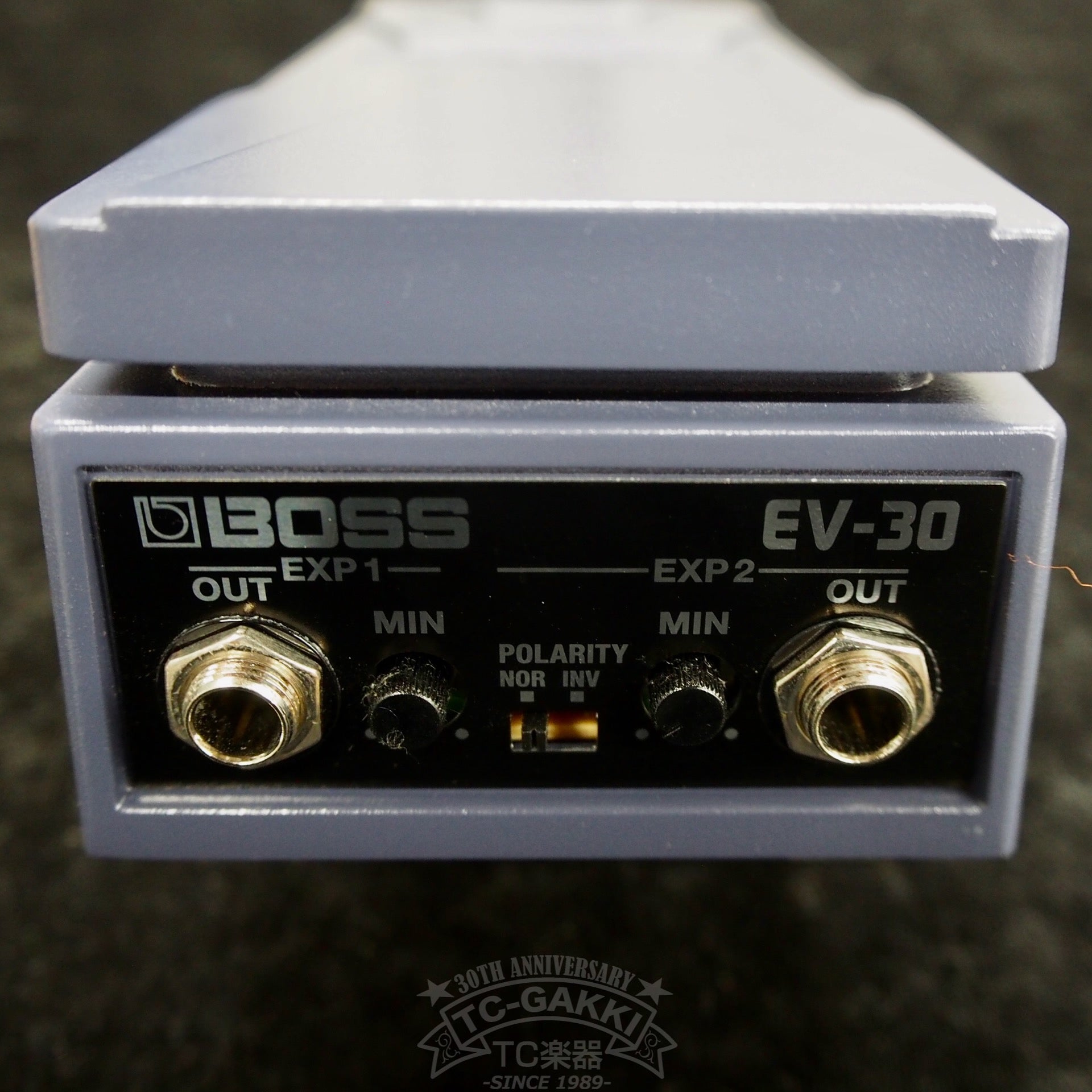 EV-30 DUAL EXPRESSION PEDAL - レコーディング/PA機器