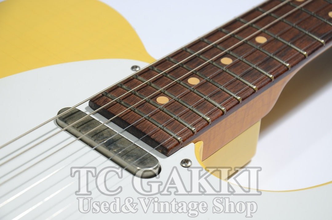 Gatton Blonde / Brazillian Rosewood - TC楽器 - TCGAKKI