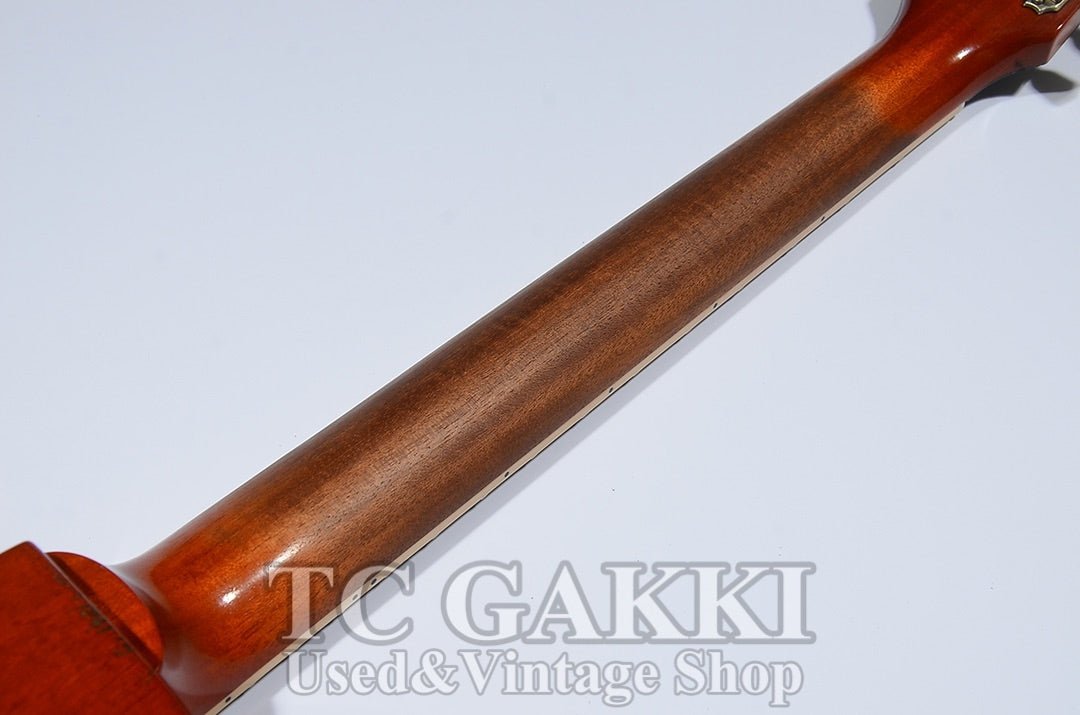 Kashmir Brazilian rosewood fingerboard - TC楽器 - TCGAKKI