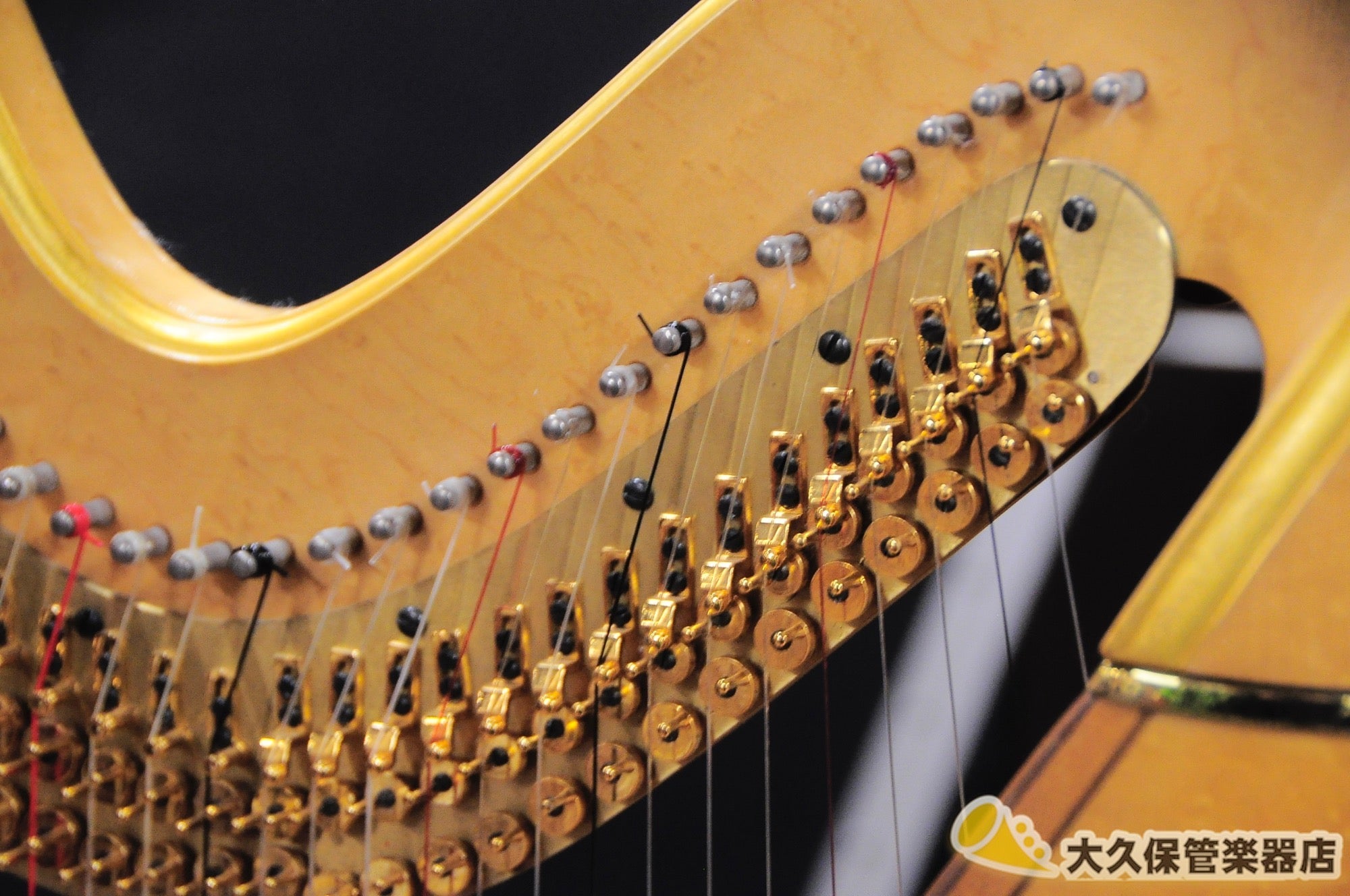 Lion & Healy PREMIUM STYLE 23 GOLD Grand Harp