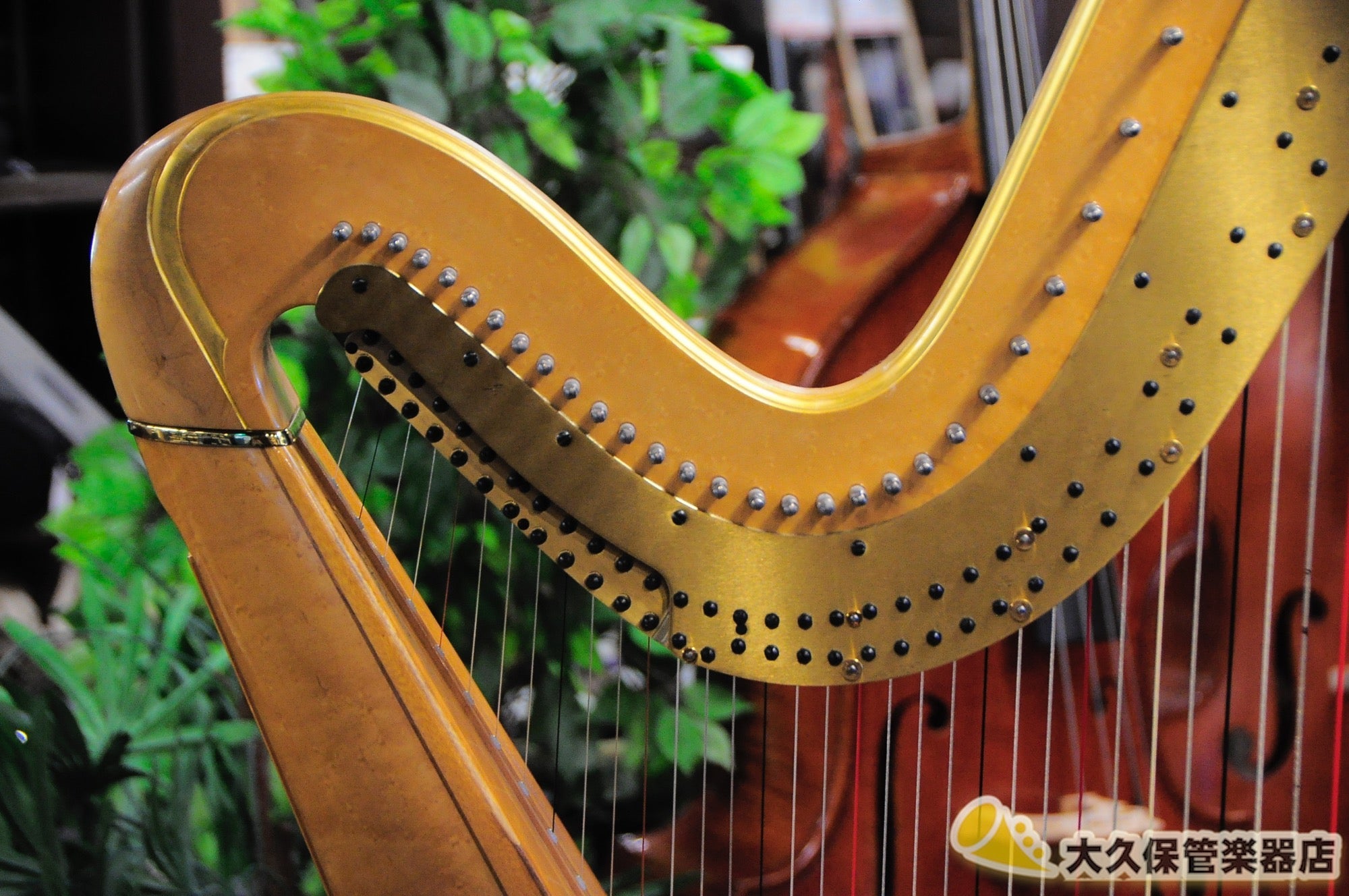 Lion & Healy PREMIUM STYLE 23 GOLD Grand Harp