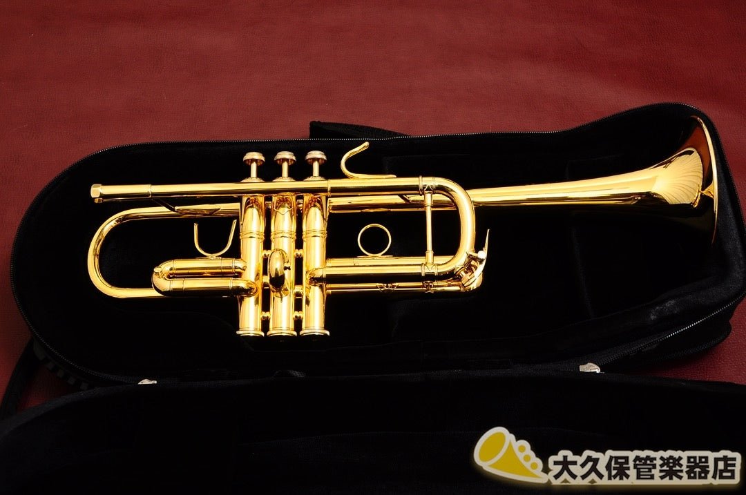 PROTEC PB301TL【トランペット1本用】