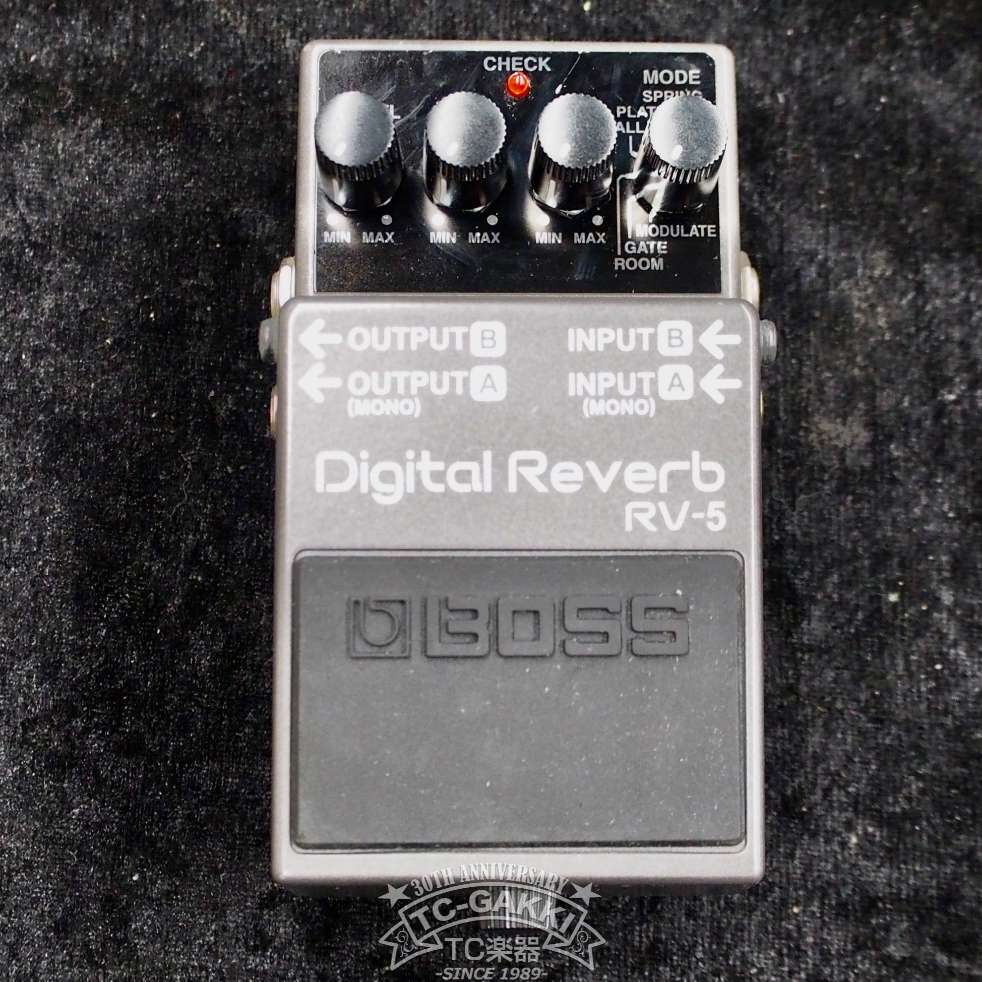 RV-5 Digital Reverb