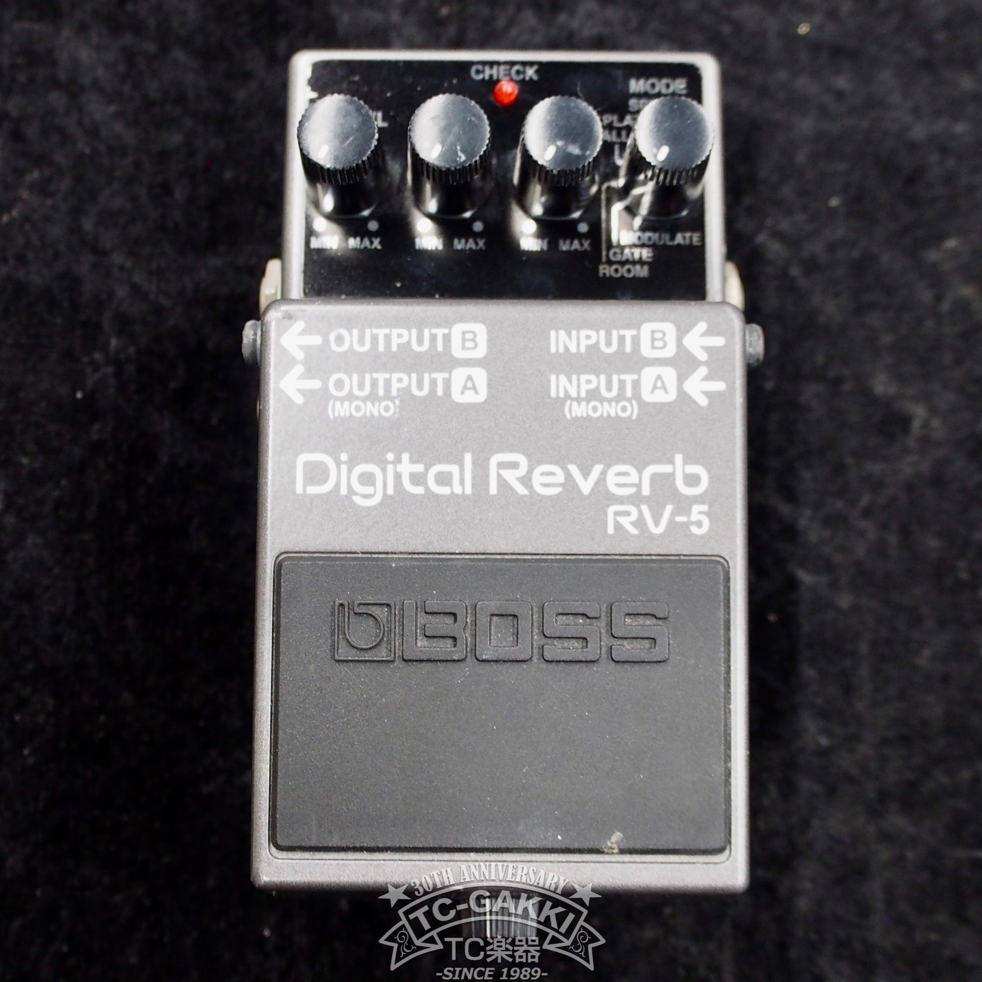 RV-5 Digital Reverb