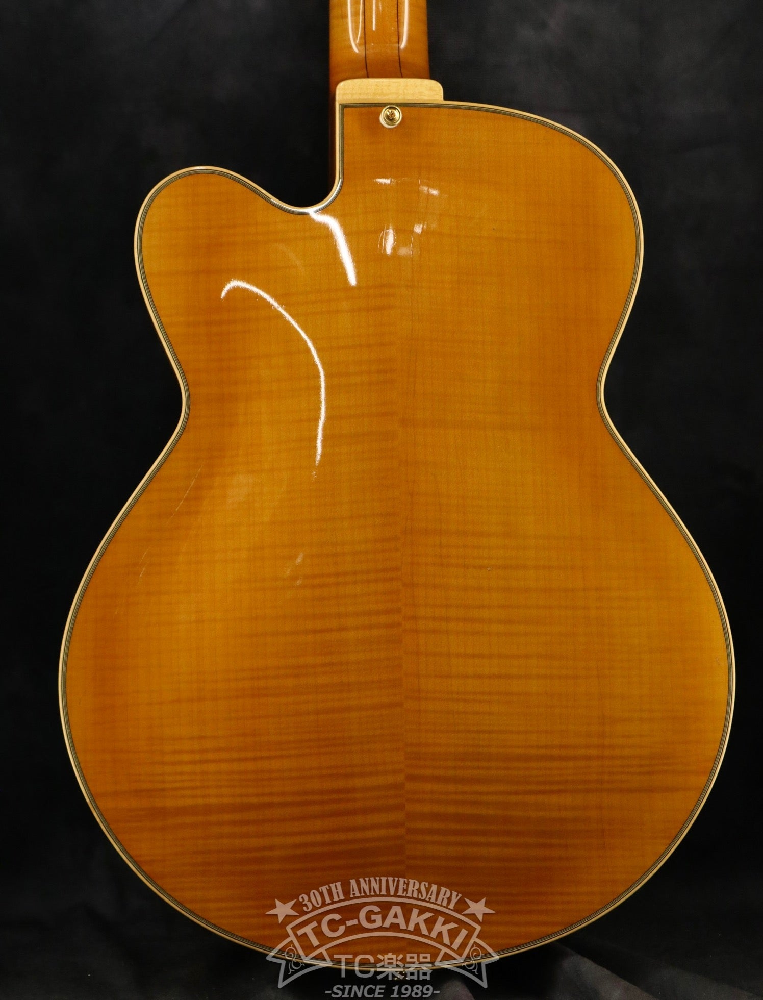 Standard 8 Strings 27P-01