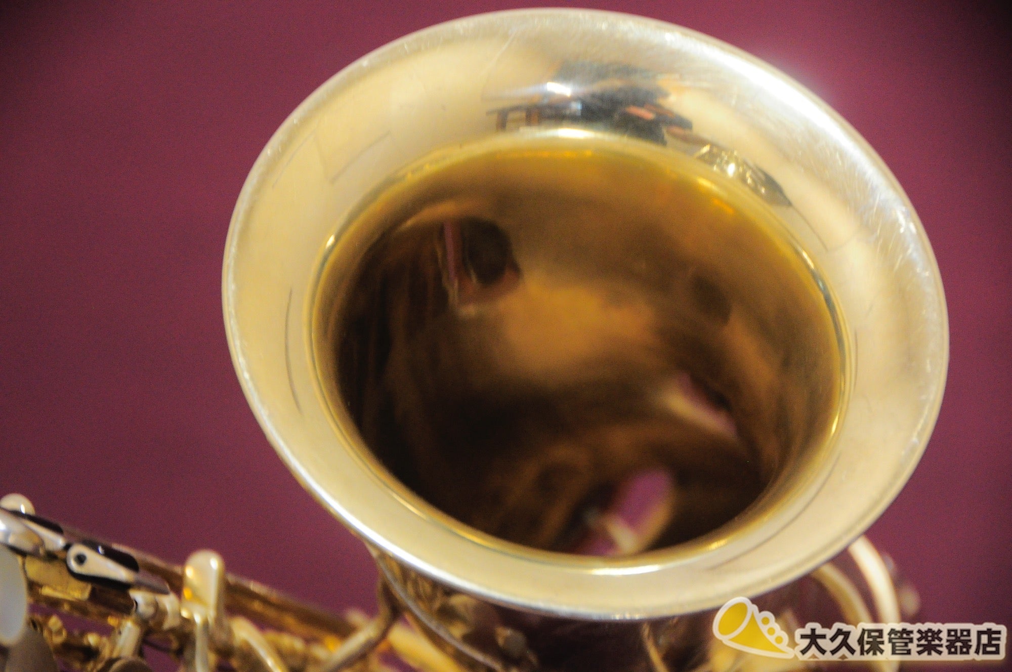 サクソフォン 本体 ゴールド E♭アルトサクソフォン シュプレーム｜Henri Selmer Paris